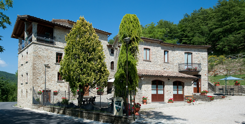 FESTA DEI CERI E NON SOLO..
