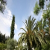 San Teodoro Dimora Storica, a Pisticci, agriturismo Matera